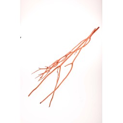 Rami essiccati di Mitsumata arancione