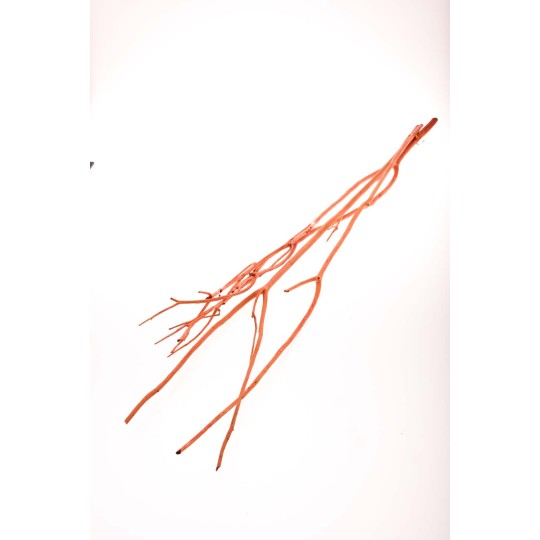 Rami essiccati di Mitsumata arancione