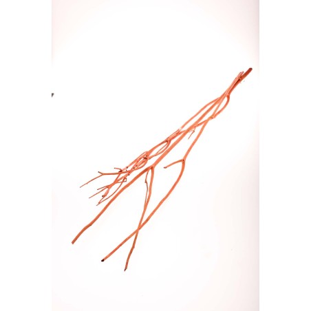 Rami essiccati di Mitsumata arancione