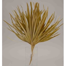 Foglie di Palma essiccate - 5 Pezzi