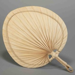 Foglia di Palma essiccata - 37x26 Cm / Naturale