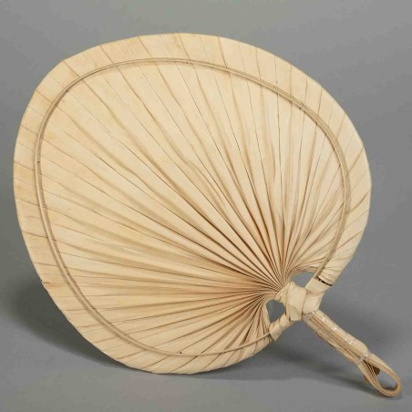 Foglia di Palma essiccata - 37x26 Cm / Naturale