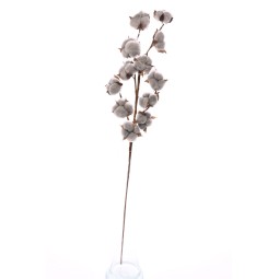 Ramo di cotone essiccato - 77 m / Grigio