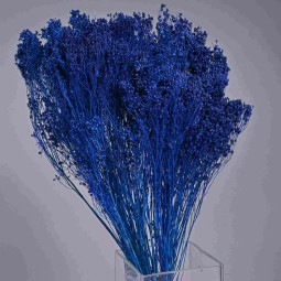 Broom Bloom essiccato 100 G - Blu