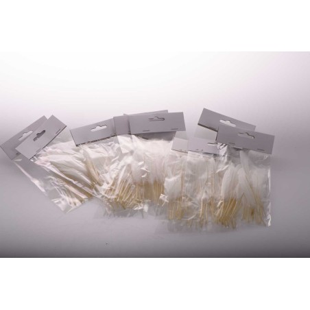 Piume d'oca bianche - Busta 200 pezzi