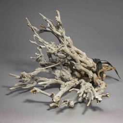 Fascio di ramoscelli - 30 Cm / Sbiancato