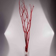 Mitsumata in rami essiccati - Rosso