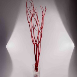 Mitsumata in rami essiccati - Rosso