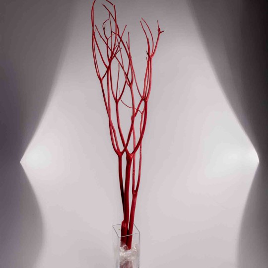 Mitsumata in rami essiccati - Rosso