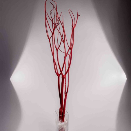 Mitsumata in rami essiccati - Rosso