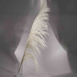 Uva Argentina 3 Pezzi - 180 Cm / Bianco