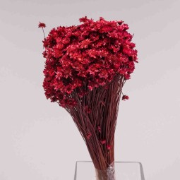 Glixia essiccata in sacchetto da 100 G - Bordeaux