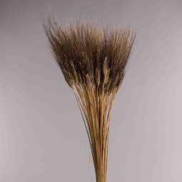 Grano baffo nero 400 G - Naturale