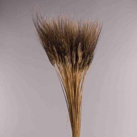 Grano baffo nero 400 G - Naturale