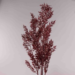 Ruscus stabilizzato 150 G - Bordeaux