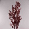 Ruscus stabilizzato 150 G - Bordeaux