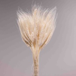 Grano baffo bianco 200 G - Bianco