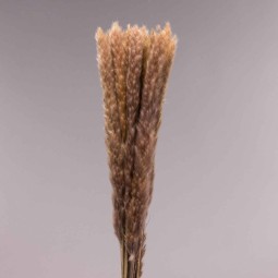 Mini Pamapas - 100 G / Naturale