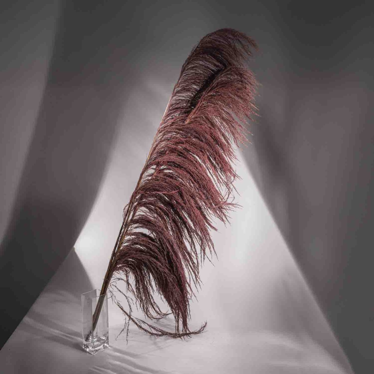 Uva Argentina 3 Pezzi - 180 Cm / Bordeaux