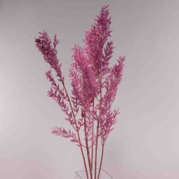 Ruscus stabilizzato 150 G - Mora