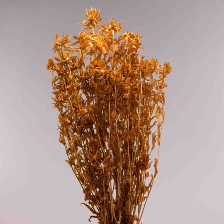 Carthamus in sacchetto 100 G / Nocciola