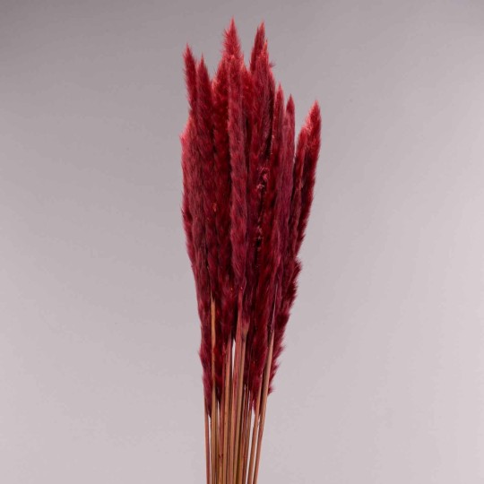 Mini Pamapas - 100 G / Bordeaux