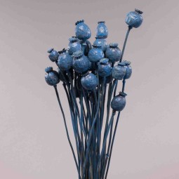 Papavero gigante in mazzo - 50 Cm / Azzurro