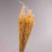 Lavanda essiccata in mazzo - 70 Cm / Sbiancato