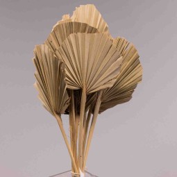 Foglie arrotondate di Palma 10 Pezzi - Naturale