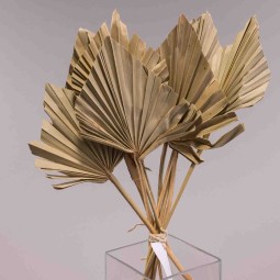 Foglie di Palma 10 Pezzi - Naturale