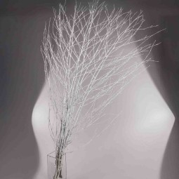 Betulla in ramo - 155x80x5 Cm / Bianco