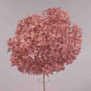 Ortensia stabilizzata "Annabelle" - Malva