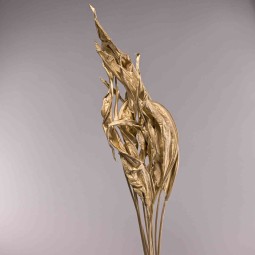 Strelizia essiccata 10 Pezzi - Oro