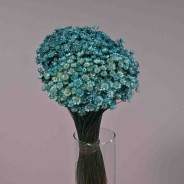 Glixia essiccata in sacchetto da 100 G - Acquamarina