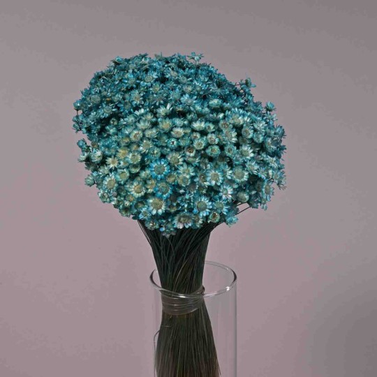 Glixia essiccata in sacchetto da 100 G - Acquamarina