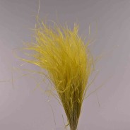 Stipa pennata - 50 G / Giallo