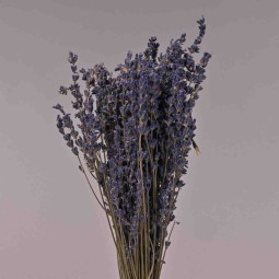 Lavanda essiccata in mazzo - 80 G