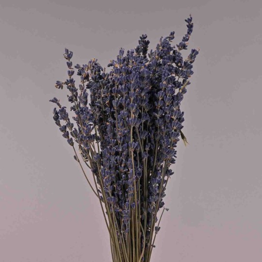 Lavanda essiccata in mazzo - 80 G