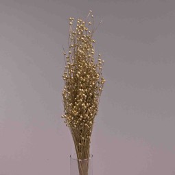 Lino in sacchetto 100 G - Oro