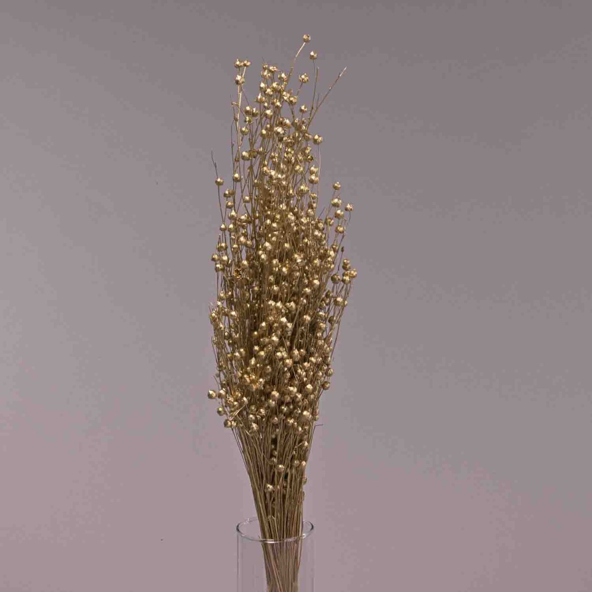 Lino in sacchetto 100 G - Oro