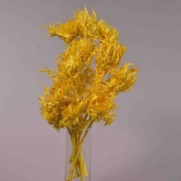 Carline in mazzo - 10 Pezzi / Giallo