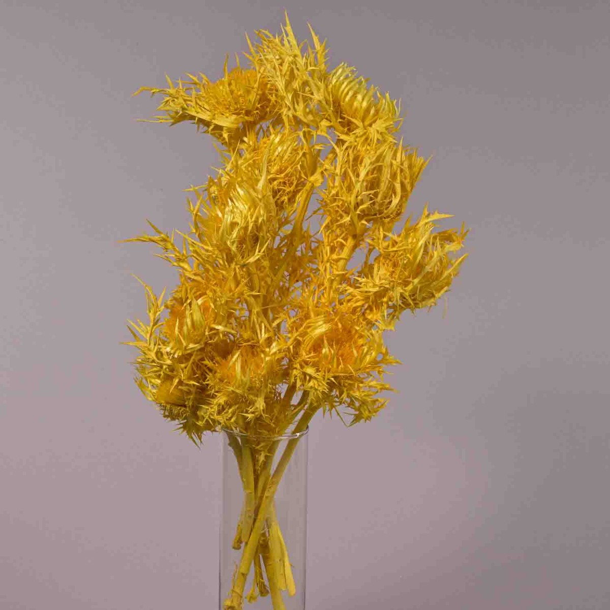 Carline in mazzo - 10 Pezzi / Giallo