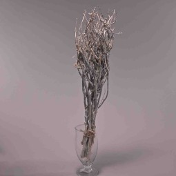 Rami essiccati di The 8 Pezzi - 50 Cm / Bianco