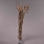 Rami essiccati di The - 65 Cm / Naturale