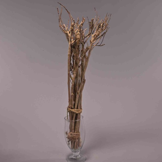Rami essiccati di The - 65 Cm / Naturale