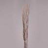 Salix essiccato - 120 Cm / Naturale