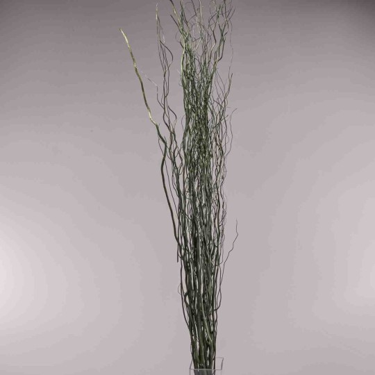 Salix essiccato - 120 Cm / Verde scuro