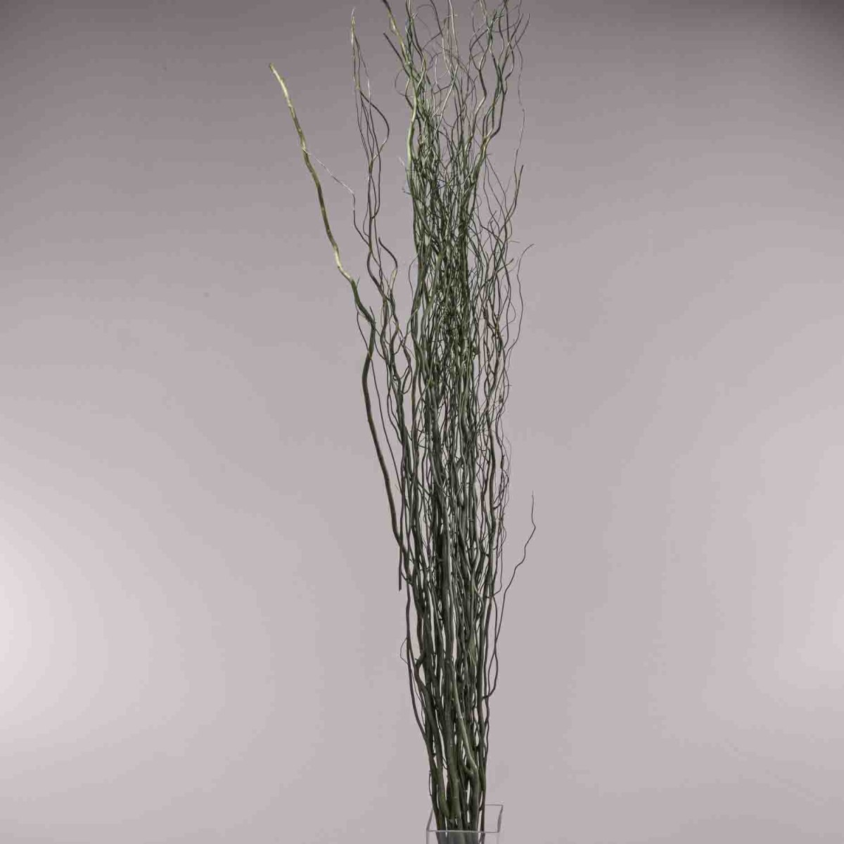 Salix essiccato - 120 Cm / Verde scuro