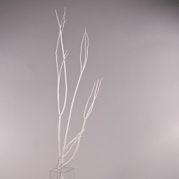 Mitsumata in ramo essiccato - 120 Cm / Bianco