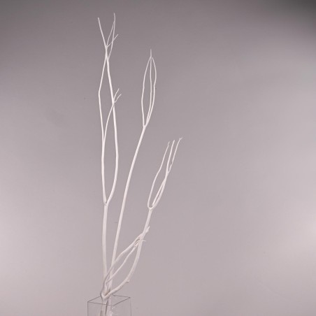 Mitsumata in ramo essiccato - 120 Cm / Bianco